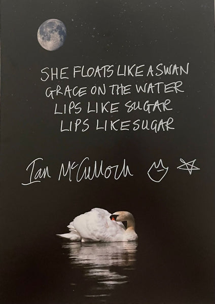 Ian McCulloch Handwritten signed Lips Like Sugar Lyrics.